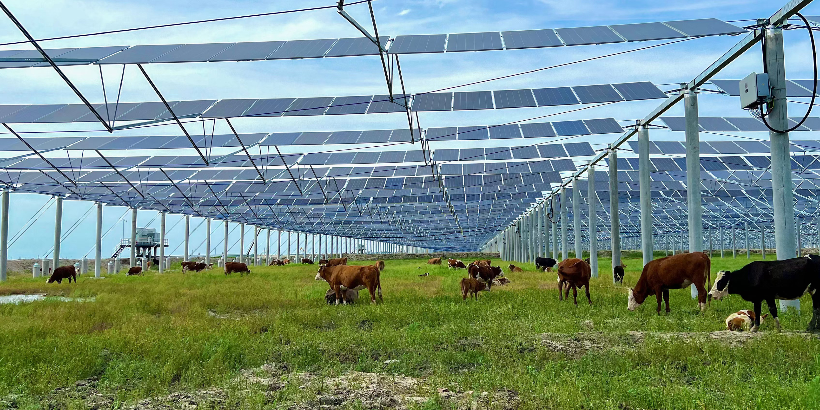 告别传统钢架?浅谈柔性索结构在光伏电站中的应用