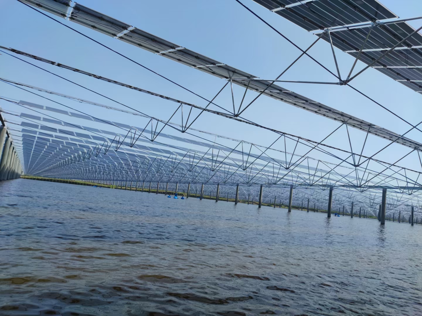 想做渔光互补,支架用什么材质防腐蚀?